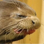 Tasslehoff avatar