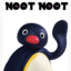 NootNoot