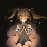 流浪的皇珈骑士