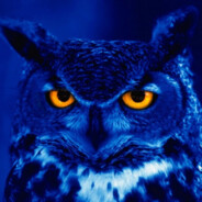 den - steam id 76561199233650882