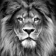 ҉K҉O҉C҉M҉O҉C҉