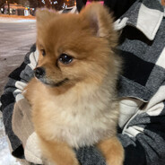 time travel memories