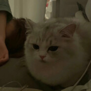 据我所知我一无所知