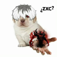zxc_5_y.o.
