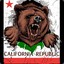 Cali Bear