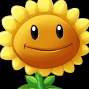 点不到阳光的张大爷