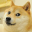 doge