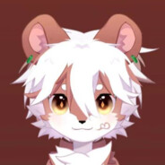 仲森是熊不是鼠