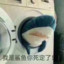 催化量Cat