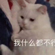 川裤子不拉裤兜子