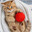 chiefkeefbestlyrics avatar