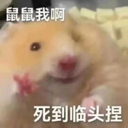 缅甸新德里耕地老大爷