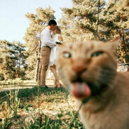 欧尼酱小夫斯基