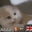 zzzzzz