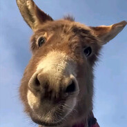 28公分非洲大野驴