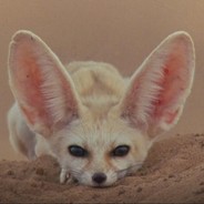 磁爆步兵杨永信