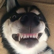 灰化肥发挥会发黑