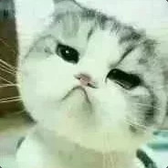 1143090289
