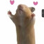 CHUCHUME