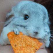 BlueChinchillaEatsDoritos avatar