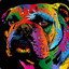 Bulldog