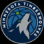 Timberwolves 2024
