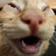 cheesedoodle
