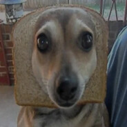 cs player - steam id 76561199553982967