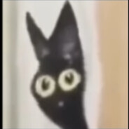 ATOM (˵¯͒〰¯͒˵)