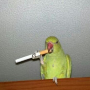 Король по фиду