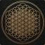 ♫BMTH♫