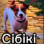 Сiбiкi