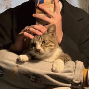 哇你别搞我心态啊