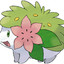 Spiny Greenleaf