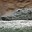 SmokingCrocodile