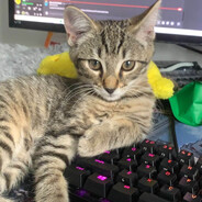 mikaerexz