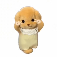 可可爱爱 不会使坏