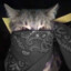 frozzo