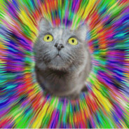 明天一定会更好