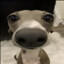 Boostick22