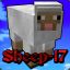 Sheep-17