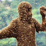 Ten Thousand Bees