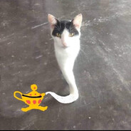 Avatar snapshot