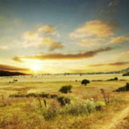 名字选择困难症