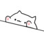 loofah