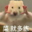 我叫一只鱼