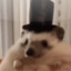 WAWLUHOKKI