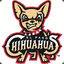 Chihuahuas