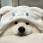 miffy