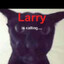 Larry